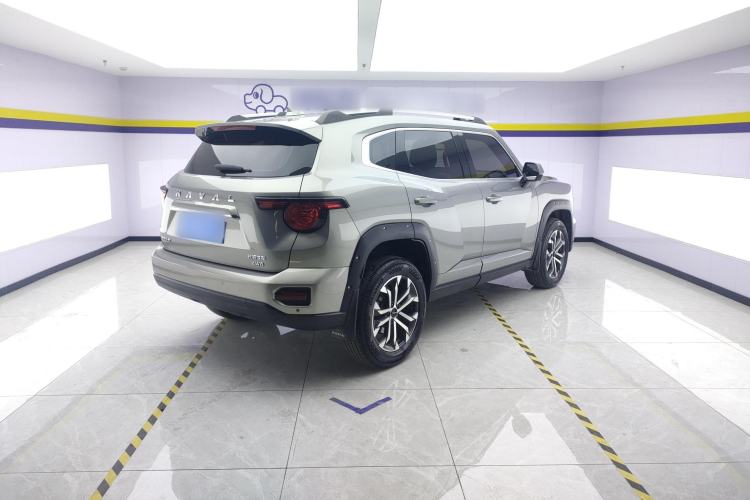 Used Haval H Dog 2023 2.0T All-Wheel-Drive Chaoye Plus Rear Right 45 Deg