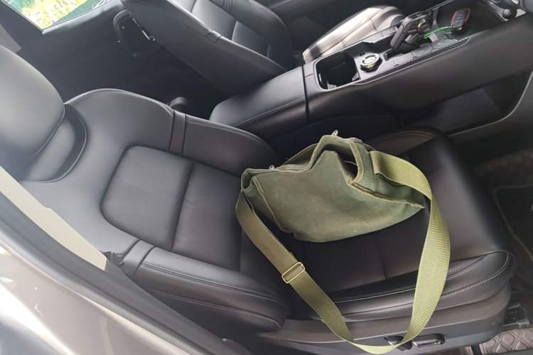 Used Haval H Dog 2023 2.0T All-Wheel-Drive Chaoye Plus Right Front Seat