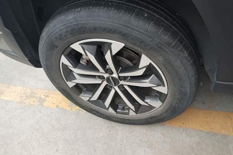 Used Haval H Dog 2023 2.0T All-Wheel-Drive Chaoye Plus Right Rear Wheel Hub