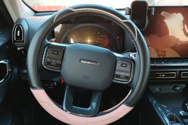 Used Haval H Dog 2023 1.5T Two-Wheel Drive Chao Ye Version Plus Steering Wheel
