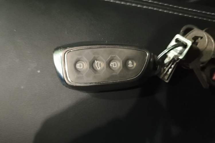 Used Haval H Dog 2023 2.0T Two-Wheel Drive Chaoye Version Plus Vehicle Key