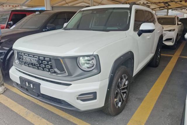Used Haval H Dog 2023 2.0T Two-Wheel Drive Chaoye Version Plus