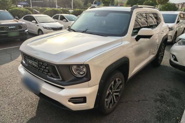 Used Haval H Dog 2023 2.0T Two-Wheel Drive Chaoye Version Plus