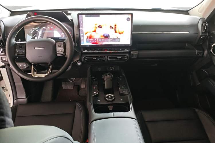 Used Haval H Dog 2023 2.0T Two-Wheel Drive Chaoye Version Plus Center Console