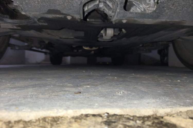 Used Haval H Dog 2023 2.0T Two-Wheel Drive Chaoye Version Plus Chassis Front