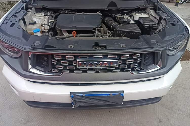 Used Haval H Dog 2023 2.0T Two-Wheel Drive Chaoye Version Plus Engine Bay