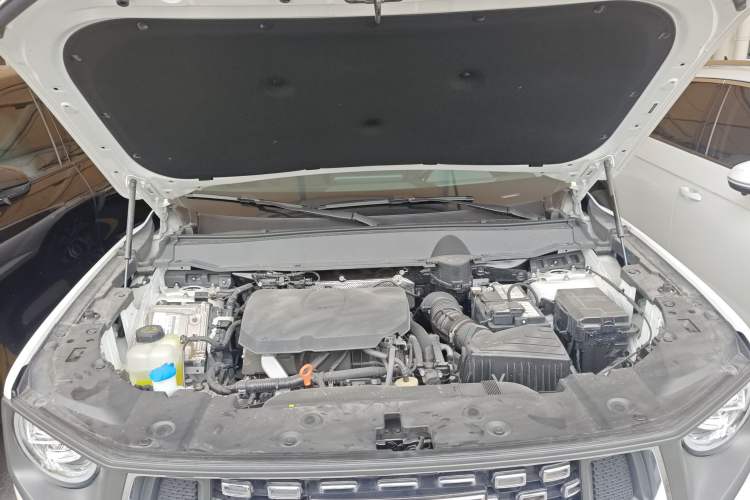 Used Haval H Dog 2023 2.0T Two-Wheel Drive Chaoye Version Plus Engine Bay