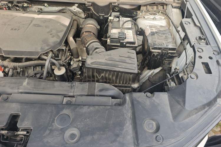 Used Haval H Dog 2023 2.0T Two-Wheel Drive Chaoye Version Plus Engine Bay Left