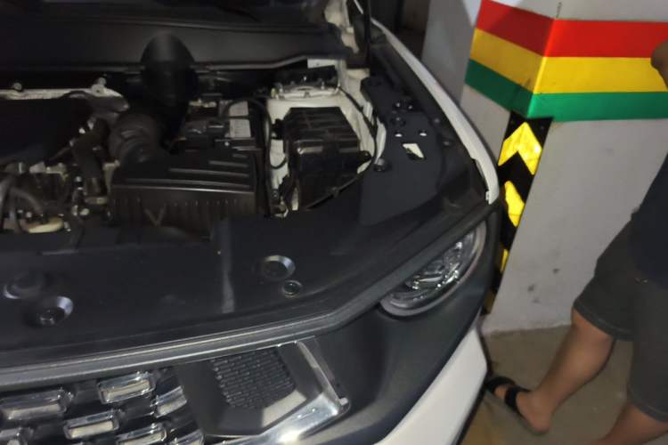 Used Haval H Dog 2023 2.0T Two-Wheel Drive Chaoye Version Plus Engine Bay Left