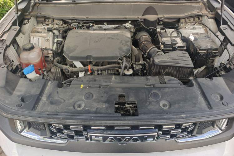 Used Haval H Dog 2023 2.0T Two-Wheel Drive Chaoye Version Plus Engine Bay