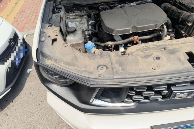 Used Haval H Dog 2023 2.0T Two-Wheel Drive Chaoye Version Plus Engine Bay Right