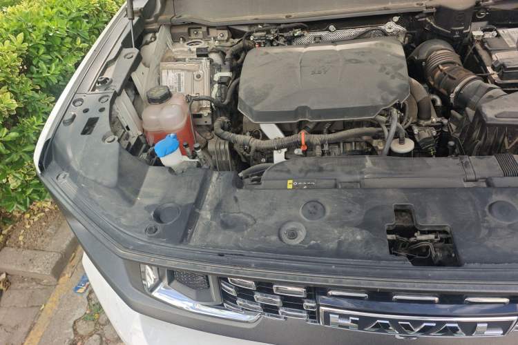 Used Haval H Dog 2023 2.0T Two-Wheel Drive Chaoye Version Plus Engine Bay Right