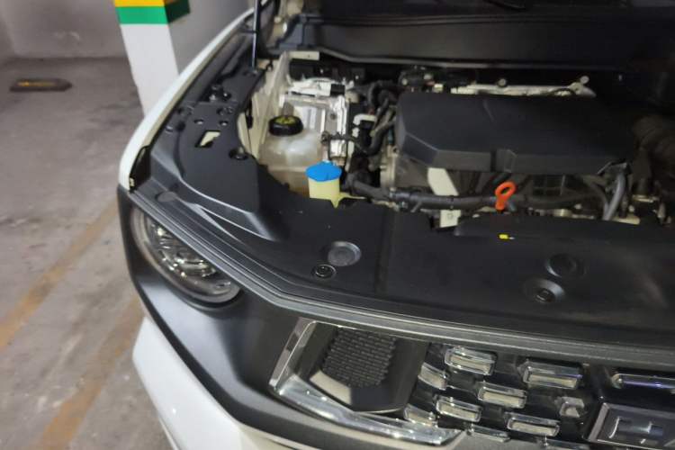 Used Haval H Dog 2023 2.0T Two-Wheel Drive Chaoye Version Plus Engine Bay Right