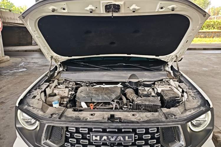 Used Haval H Dog 2023 2.0T Two-Wheel Drive Chaoye Version Plus Engine Bay