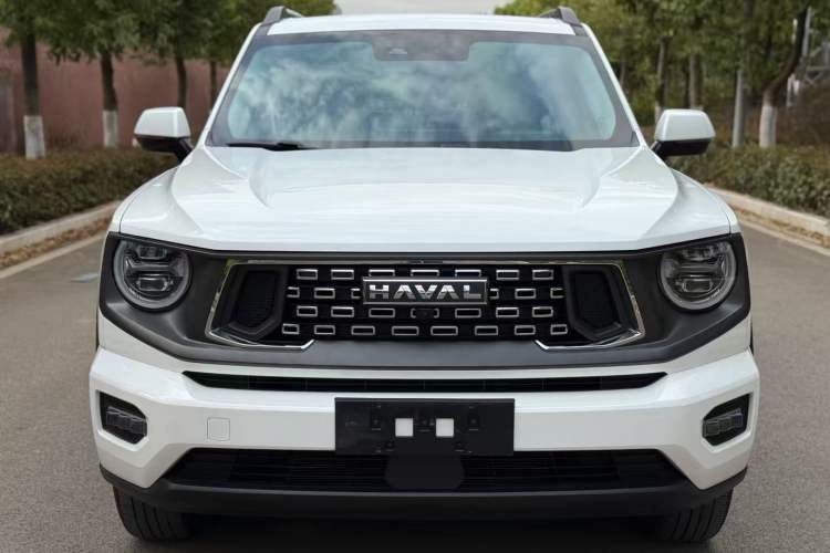 Used Haval H Dog 2023 1.5T Two-Wheel Drive Chao Ye Version Plus Exterior 1