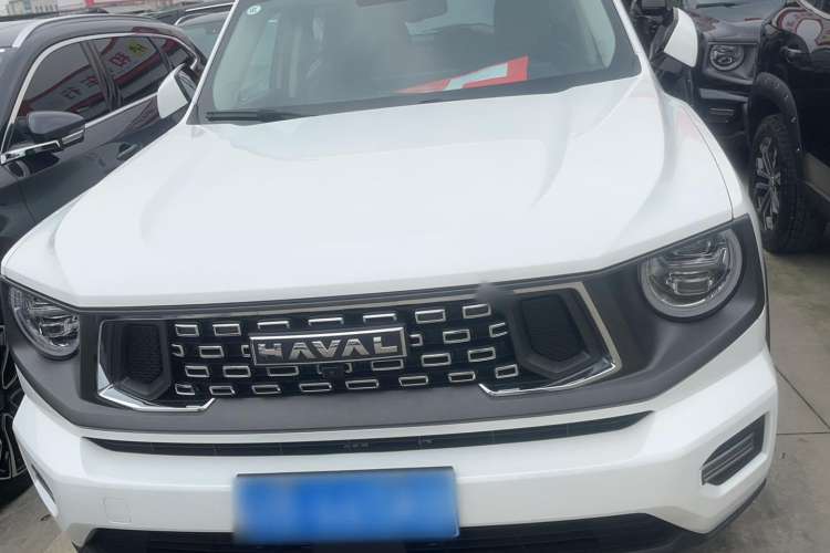 Used Haval H Dog 2023 2.0T All-Wheel-Drive Chaoye Plus Exterior 1