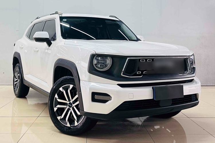 Used Haval H Dog 2023 2.0T Two-Wheel Drive Chaoye Version Plus Exterior 1
