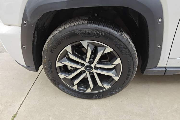 Used Haval H Dog 2023 2.0T All-Wheel-Drive Chaoye Plus Exterior 2