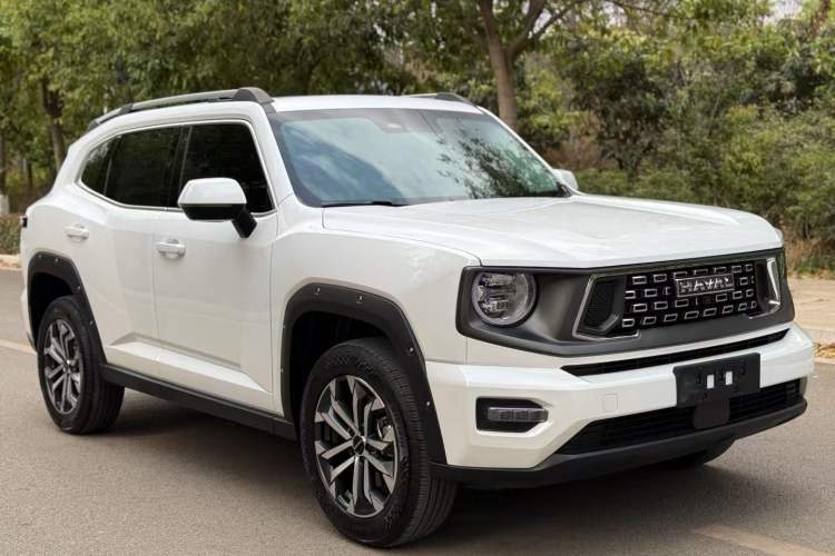 Used Haval H Dog 2023 1.5T Two-Wheel Drive Chao Ye Version Plus Exterior 2