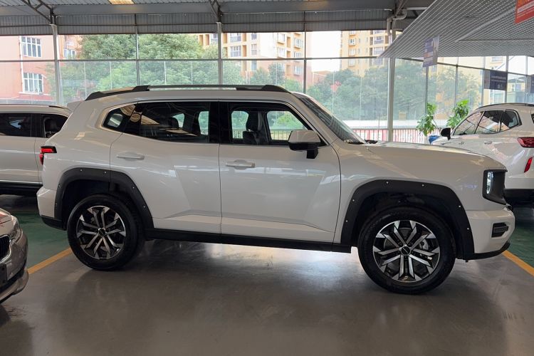 Used Haval H Dog 2023 2.0T All-Wheel-Drive Chaoye Plus Exterior 2