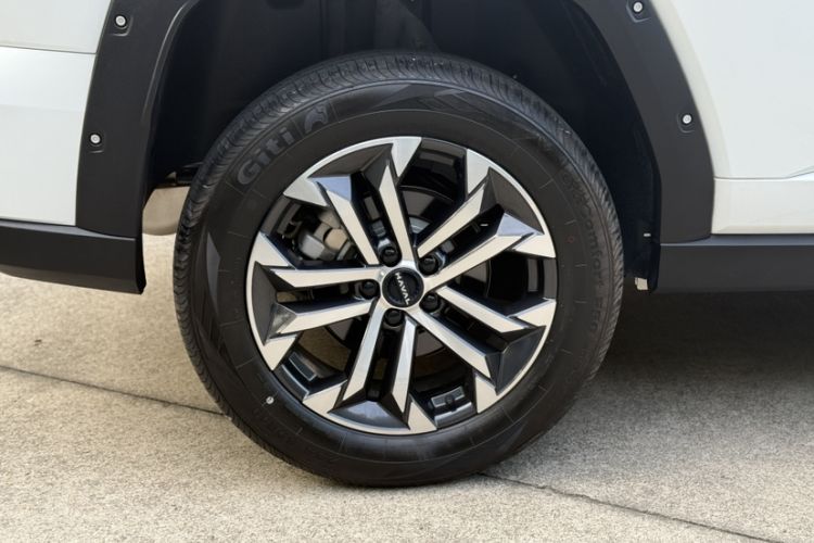 Used Haval H Dog 2023 2.0T All-Wheel-Drive Chaoye Plus Exterior 3