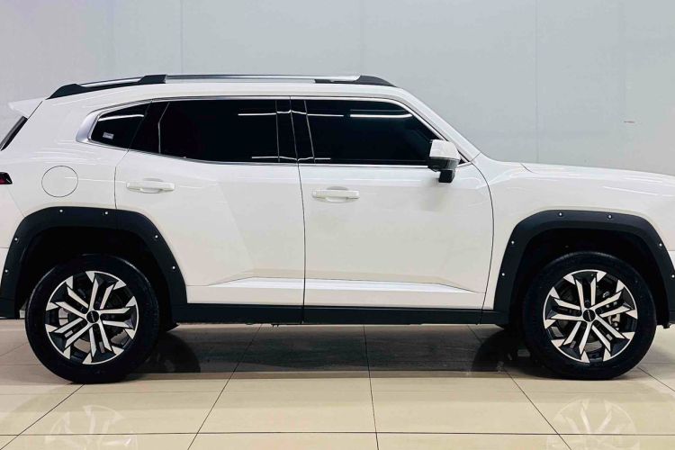 Used Haval H Dog 2023 2.0T Two-Wheel Drive Chaoye Version Plus Exterior 3