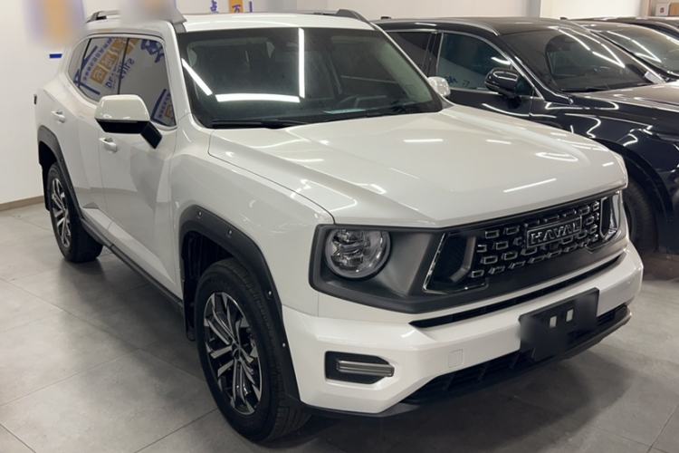 Used Haval H Dog 2023 2.0T Two-Wheel Drive Chaoye Version Plus Exterior 3