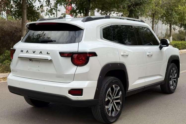 Used Haval H Dog 2023 1.5T Two-Wheel Drive Chao Ye Version Plus Exterior 4