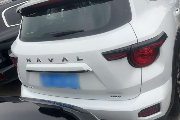Used Haval H Dog 2023 2.0T All-Wheel-Drive Chaoye Plus Exterior 4