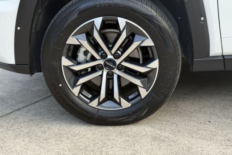 Used Haval H Dog 2023 2.0T All-Wheel-Drive Chaoye Plus Exterior 4
