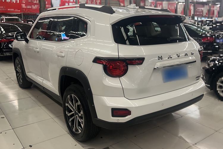 Used Haval H Dog 2023 2.0T All-Wheel-Drive Chaoye Plus Exterior 5