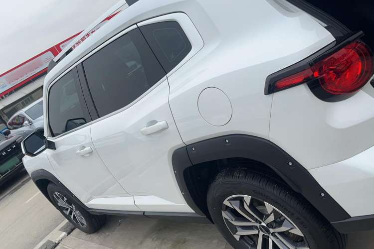 Used Haval H Dog 2023 2.0T All-Wheel-Drive Chaoye Plus Exterior 5