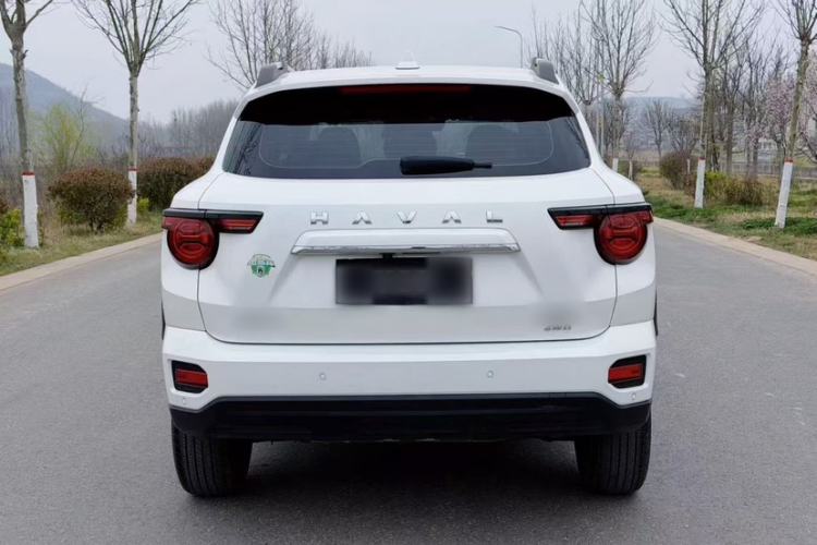 Used Haval H Dog 2023 2.0T All-Wheel-Drive Chaoye Plus Exterior 6