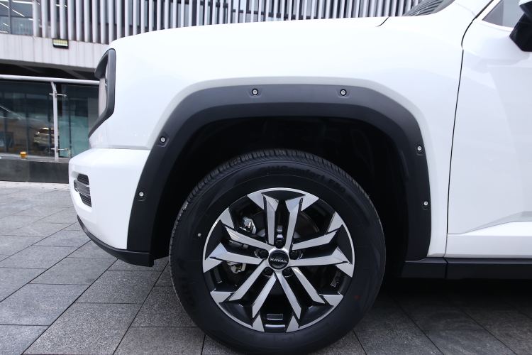Used Haval H Dog 2023 2.0T All-Wheel-Drive Chaoye Plus Exterior 7
