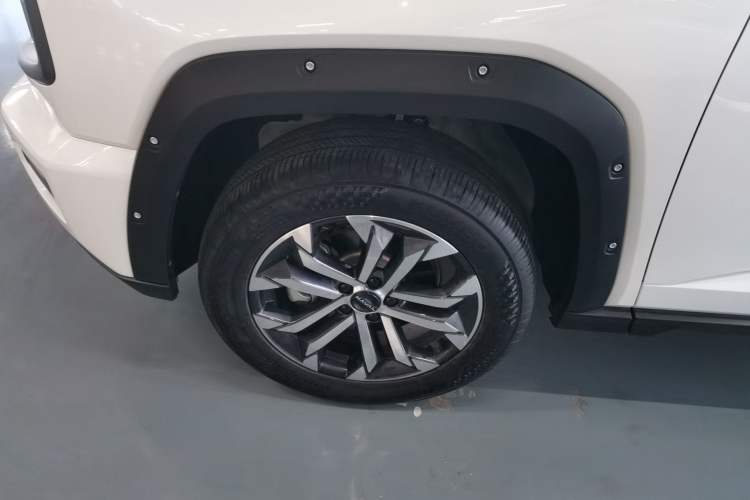 Used Haval H Dog 2023 2.0T Two-Wheel Drive Chaoye Version Plus Exterior 7