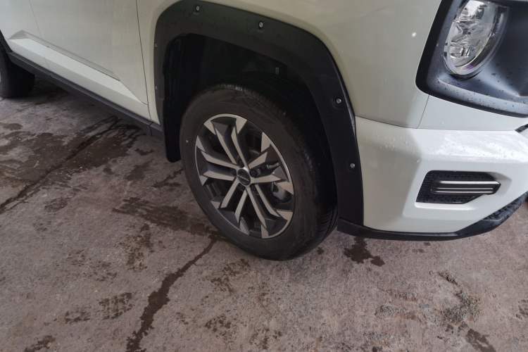 Used Haval H Dog 2023 2.0T Two-Wheel Drive Chaoye Version Plus Exterior 7