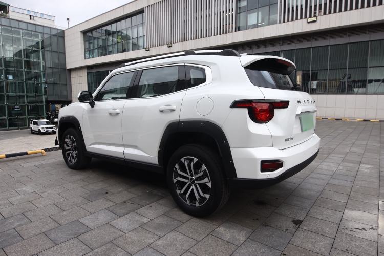 Used Haval H Dog 2023 2.0T All-Wheel-Drive Chaoye Plus Exterior 8