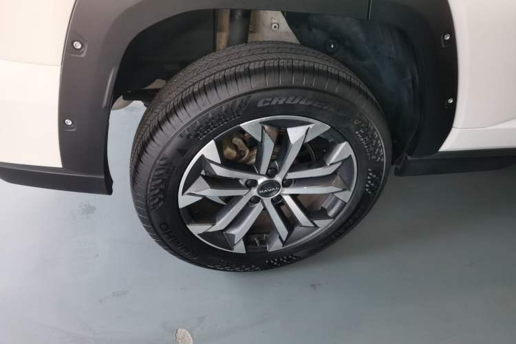 Used Haval H Dog 2023 2.0T Two-Wheel Drive Chaoye Version Plus Exterior 8