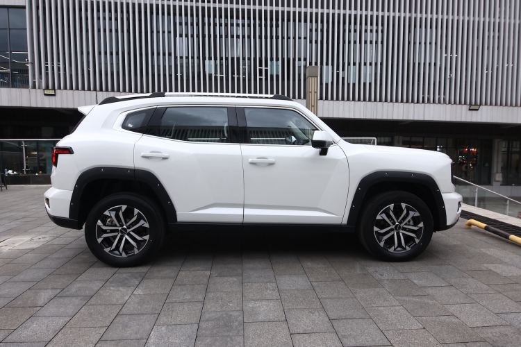 Used Haval H Dog 2023 2.0T All-Wheel-Drive Chaoye Plus Exterior 9