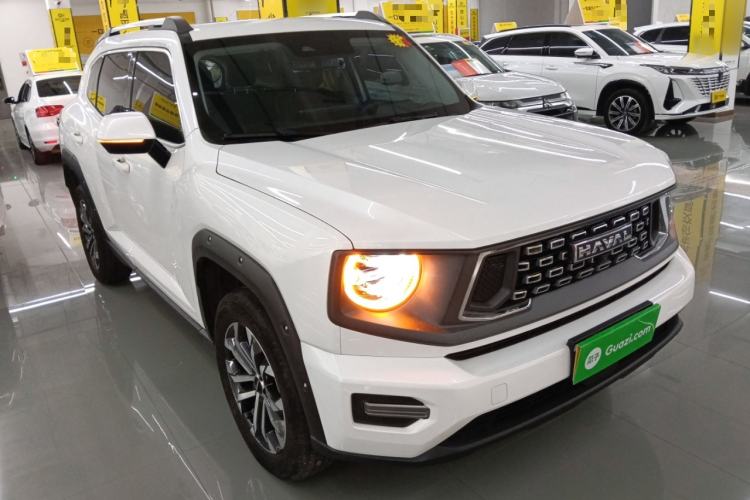 Used Haval H Dog 2023 2.0T Two-Wheel Drive Chaoye Version Plus Front Right 45 Deg