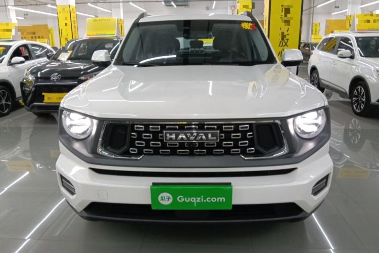 Used Haval H Dog 2023 2.0T Two-Wheel Drive Chaoye Version Plus Front