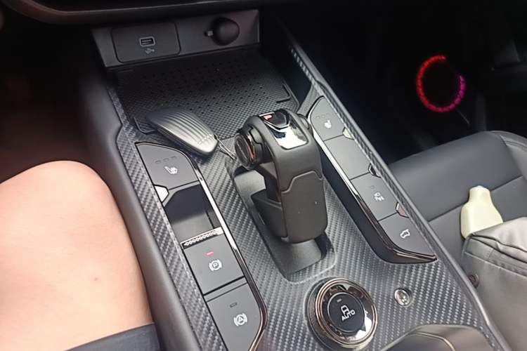 Used Haval H Dog 2023 2.0T Two-Wheel Drive Chaoye Version Plus Gear Lever