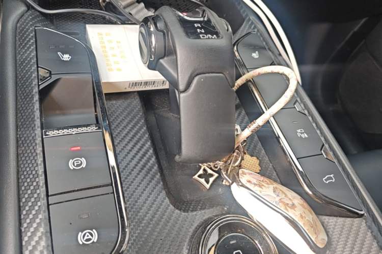 Used Haval H Dog 2023 2.0T Two-Wheel Drive Chaoye Version Plus Gear Lever