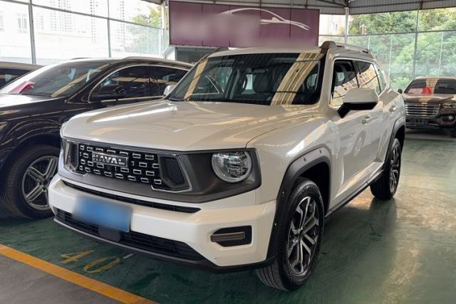 Used Haval H Dog 2023 2.0T All-Wheel-Drive Chaoye Plus