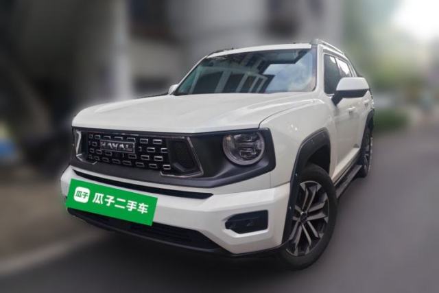 Used Haval H Dog 2023 2.0T Two-Wheel Drive Chaoye Version Plus