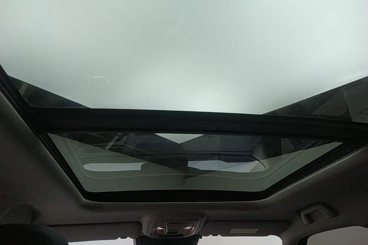 Used Haval H Dog 2023 2.0T All-Wheel-Drive Chaoye Plus Headliner