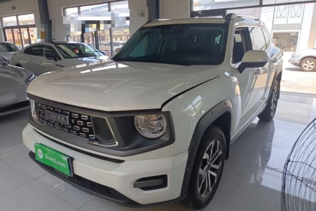 Used Haval H Dog 2023 2.0T Two-Wheel Drive Chaoye Version Plus