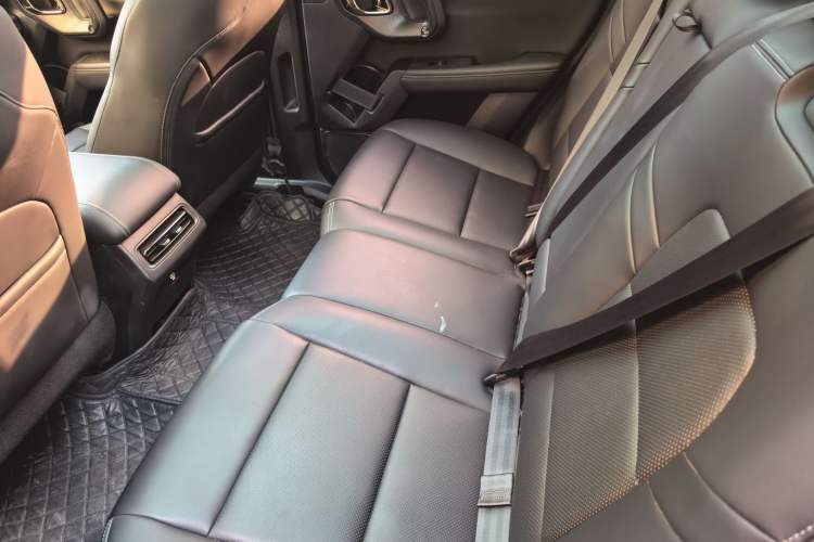 Used Haval H Dog 2023 2.0T Two-Wheel Drive Chaoye Version Plus Interior 1