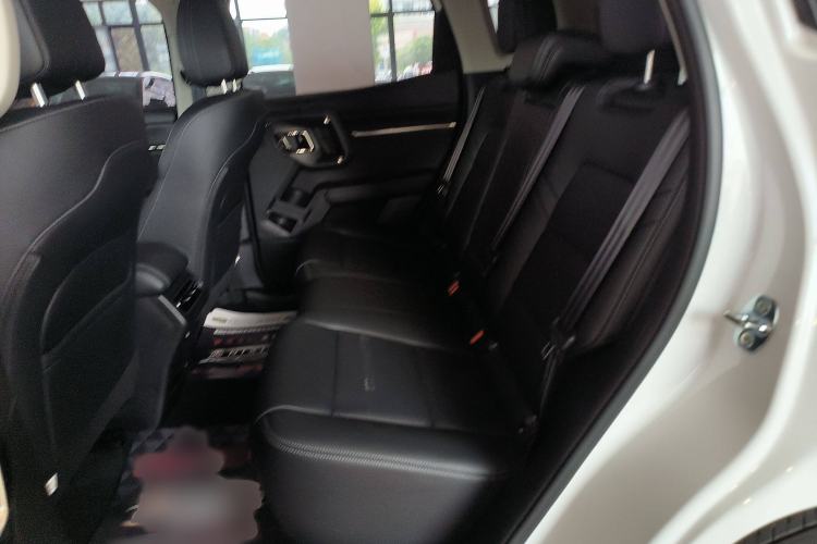 Used Haval H Dog 2023 1.5T Two-Wheel Drive Chao Ye Version Plus Interior 4