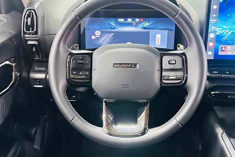 Used Haval H Dog 2023 2.0T Two-Wheel Drive Chaoye Version Plus Interior 4